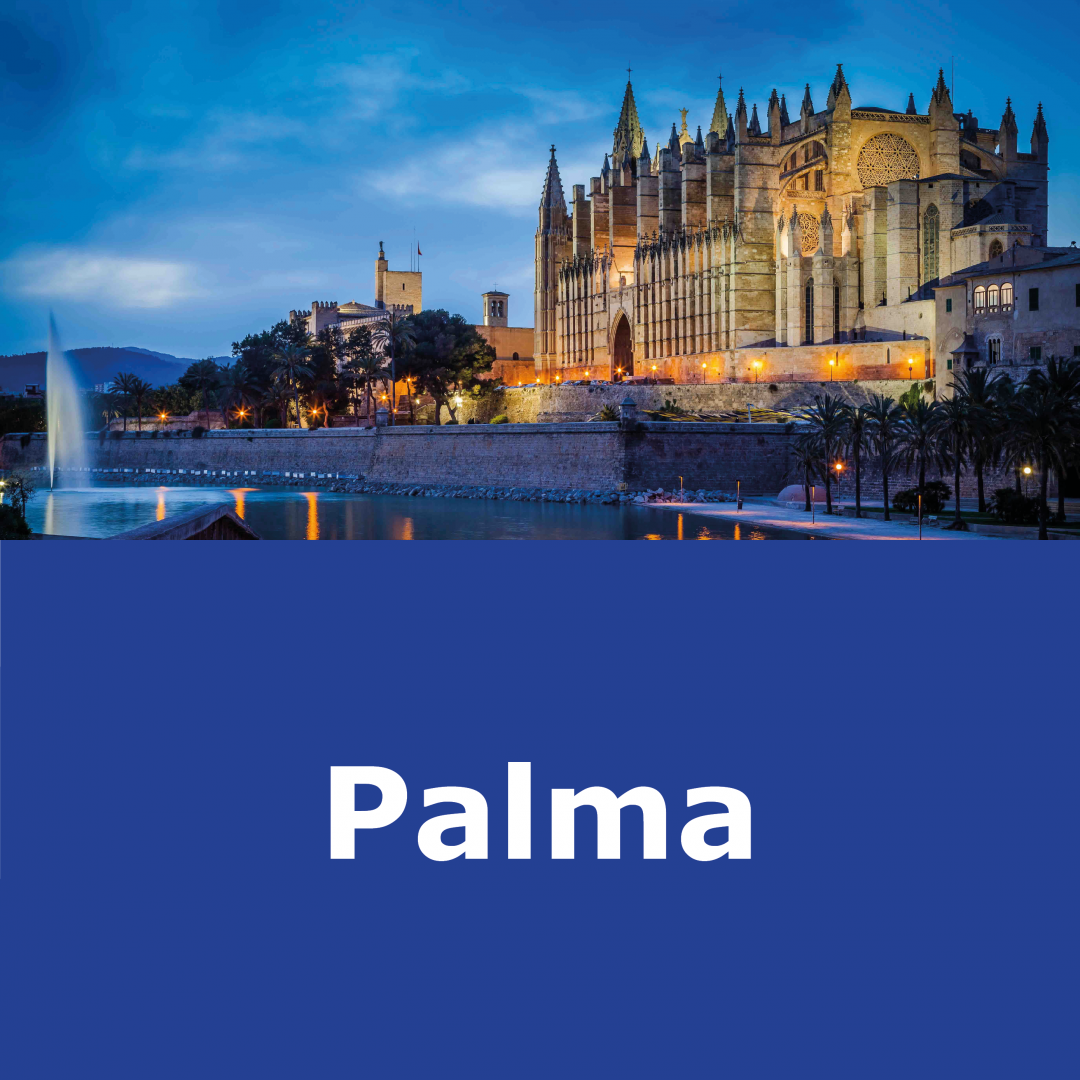 Escoge el Campus de Palma